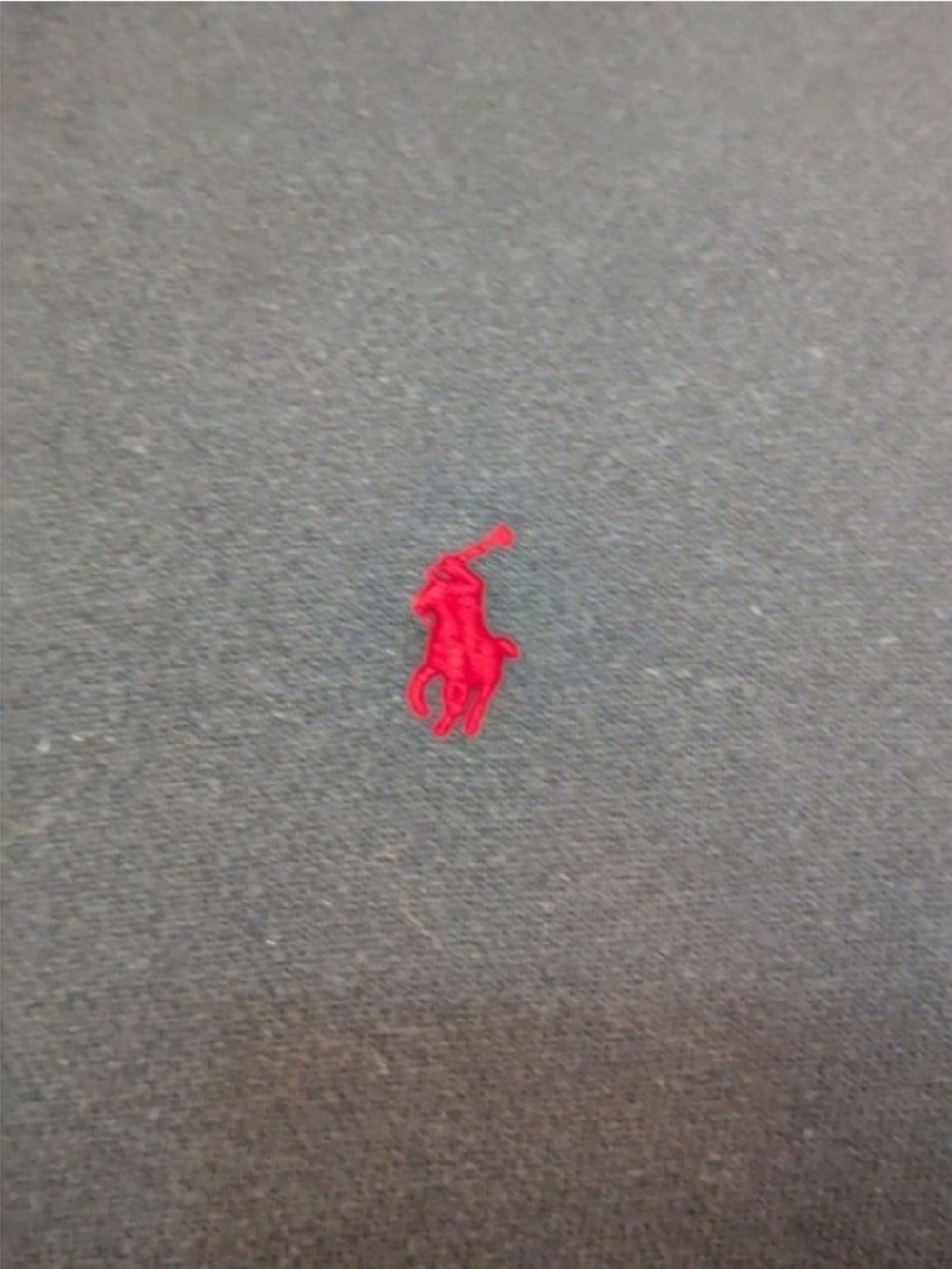 Polo by Ralph Lauren Black Kids Zip Hoodie with Red Pony - Picture 4 of 4